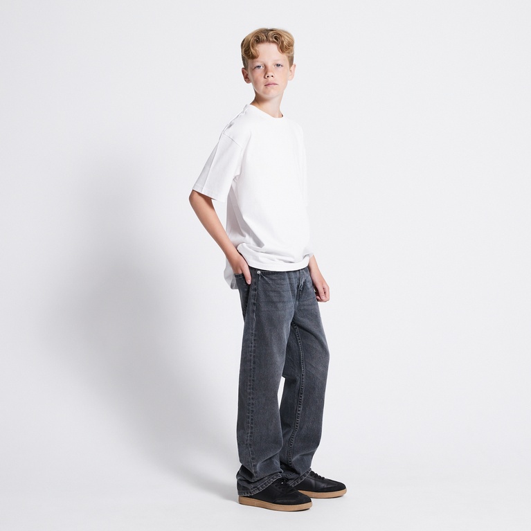 Heavy Tee "William star"